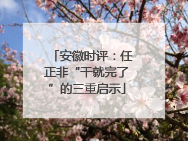 安徽时评：任正非“干就完了”的三重启示
