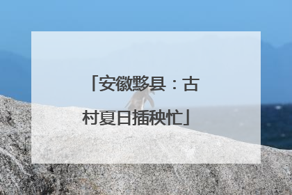 安徽黟县：古村夏日插秧忙