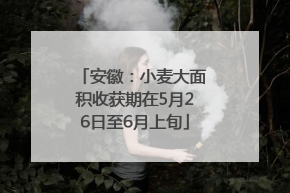 安徽：小麦大面积收获期在5月26日至6月上旬