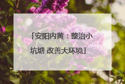 安阳内黄：整治小坑塘 改善大环境