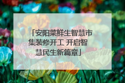 安阳菜鲜生智慧市集装修开工 开启智慧民生新篇章
