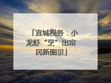 宜城税务：小龙虾“烹”出富民新图景