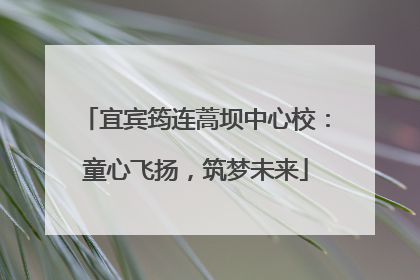 宜宾筠连蒿坝中心校：童心飞扬，筑梦未来