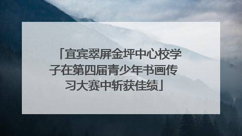 宜宾翠屏金坪中心校学子在第四届青少年书画传习大赛中斩获佳绩