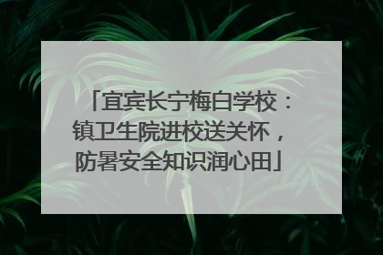 宜宾长宁梅白学校：镇卫生院进校送关怀，防暑安全知识润心田