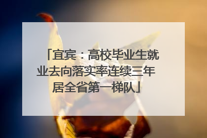 宜宾：高校毕业生就业去向落实率连续三年居全省第一梯队