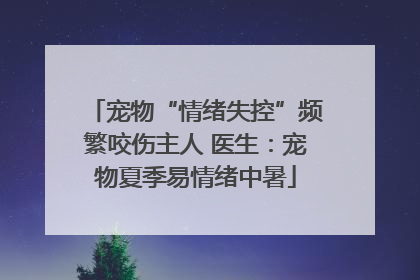 宠物“情绪失控”频繁咬伤主人 医生：宠物夏季易情绪中暑