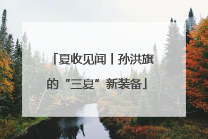 夏收见闻丨孙洪旗的“三夏”新装备
