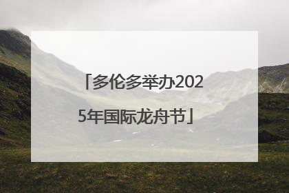 多伦多举办2025年国际龙舟节