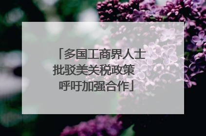 多国工商界人士批驳美关税政策 呼吁加强合作