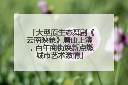 大型原生态舞剧《云南映象》唐山上演，百年商街焕新点燃城市艺术激情