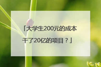大学生200元的成本干了20亿的项目？