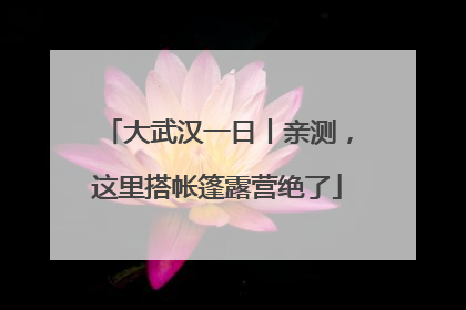 大武汉一日丨亲测，这里搭帐篷露营绝了