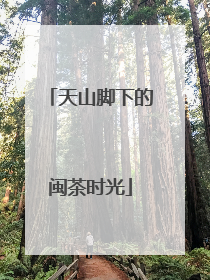 天山脚下的闽茶时光