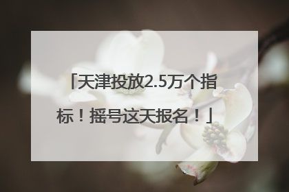 天津投放2.5万个指标！摇号这天报名！