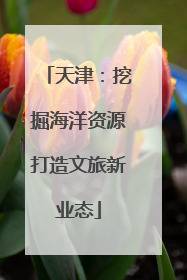 天津：挖掘海洋资源打造文旅新业态
