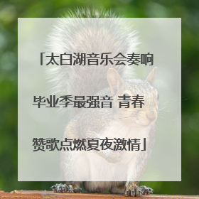 太白湖音乐会奏响毕业季最强音 青春赞歌点燃夏夜激情