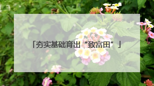 夯实基础育出“致富田”