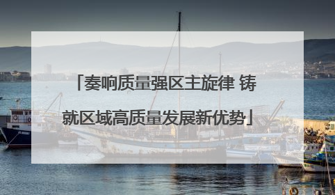 奏响质量强区主旋律 铸就区域高质量发展新优势