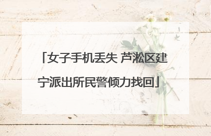 女子手机丢失 芦淞区建宁派出所民警倾力找回