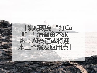 姚明现身“打Call”！清智资本张煜：AI赛道或将迎来三个爆发应用点