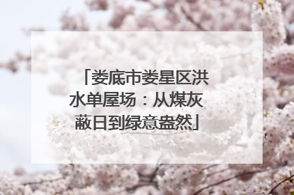 娄底市娄星区洪水单屋场：从煤灰蔽日到绿意盎然
