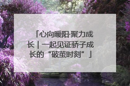 心向暖阳·聚力成长｜一起见证骄子成长的“破茧时刻”