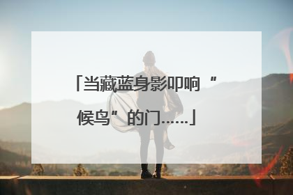当藏蓝身影叩响“候鸟”的门……
