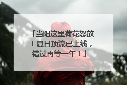 当阳这里荷花怒放！夏日顶流已上线，错过再等一年！