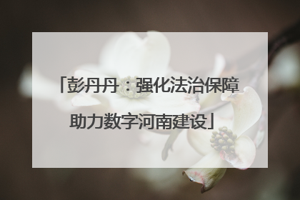 彭丹丹：强化法治保障 助力数字河南建设