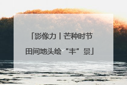 影像力丨芒种时节 田间地头绘“丰”景