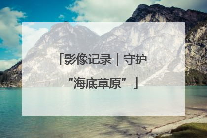 影像记录｜守护“海底草原”
