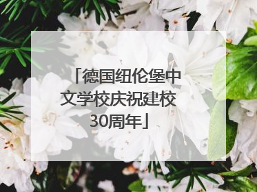 德国纽伦堡中文学校庆祝建校30周年