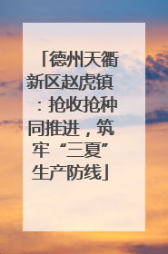 德州天衢新区赵虎镇：抢收抢种同推进，筑牢“三夏”生产防线