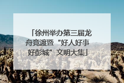 徐州举办第三届龙舟竞渡暨“好人好事好彭城”文明大集