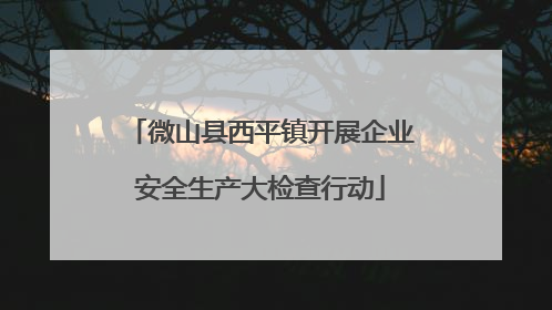 微山县西平镇开展企业安全生产大检查行动