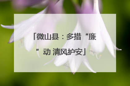 微山县：多措“廉”动 清风护安