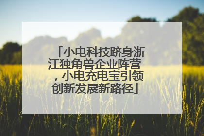 小电科技跻身浙江独角兽企业阵营，小电充电宝引领创新发展新路径