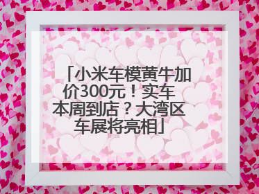 小米车模黄牛加价300元！实车本周到店？大湾区车展将亮相