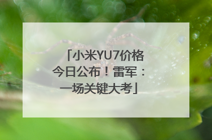 小米YU7价格今日公布！雷军：一场关键大考