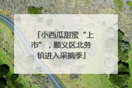 小西瓜甜蜜“上市”，顺义区北务镇进入采摘季