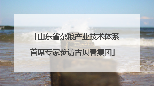 山东省杂粮产业技术体系首席专家参访古贝春集团