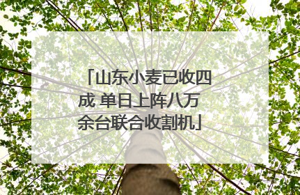 山东小麦已收四成 单日上阵八万余台联合收割机