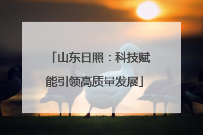 山东日照：科技赋能引领高质量发展