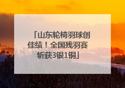 山东轮椅羽球创佳绩！全国残羽赛斩获3银1铜