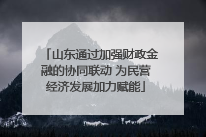 山东通过加强财政金融的协同联动 为民营经济发展加力赋能