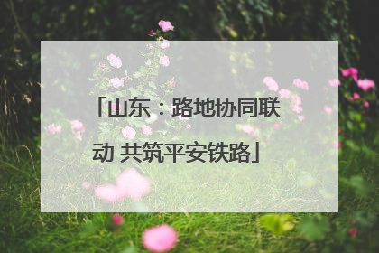 山东：路地协同联动 共筑平安铁路