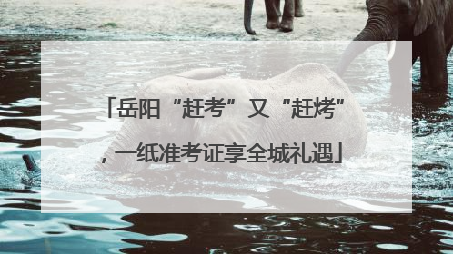岳阳“赶考”又“赶烤”，一纸准考证享全城礼遇