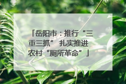 岳阳市：推行“三重三抓” 扎实推进农村“厕所革命”
