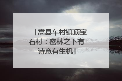 嵩县车村镇顶宝石村：密林之下有诗意有生机